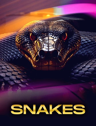 Snakes and Ladders live game